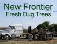 New Frontier Landscaping