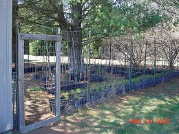 Potted Trees And Bushes