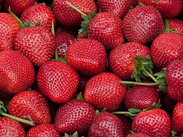 Potted Delizz Strawberry Plants